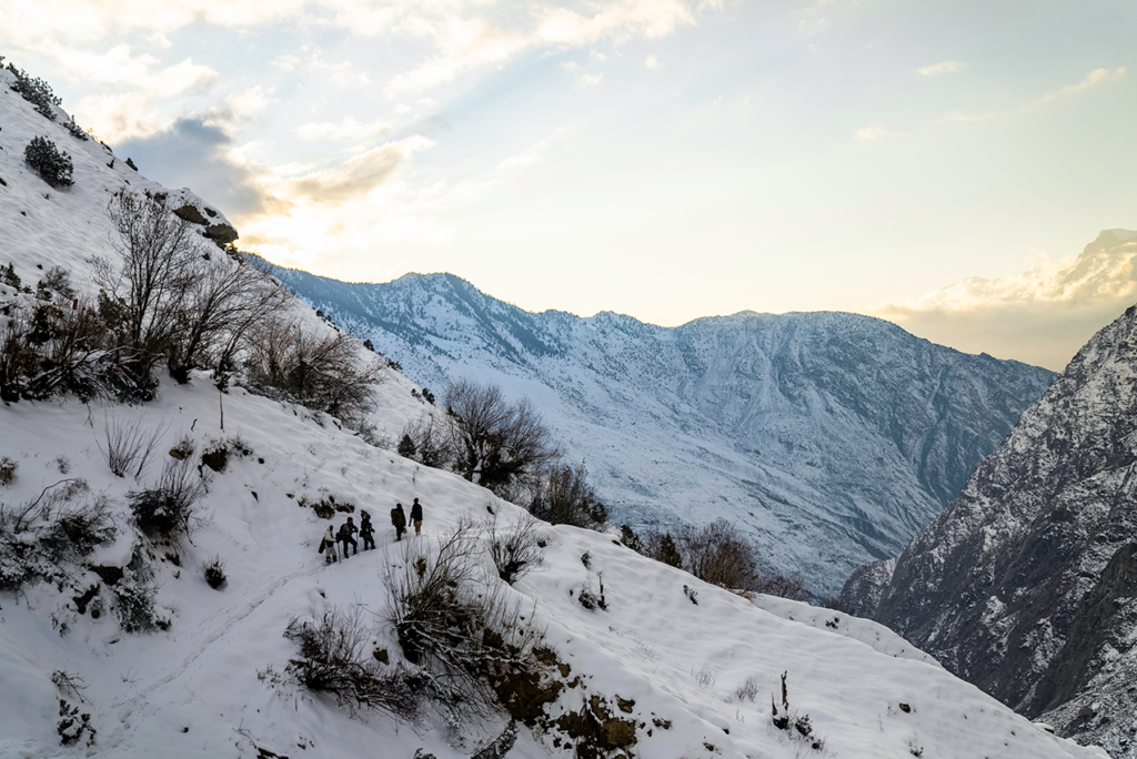 WS_The Juniper’s Shadow_6