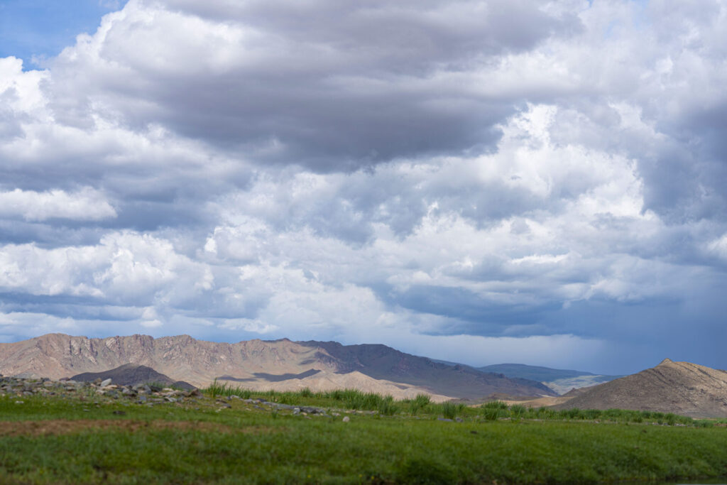 WEB_S__Gobi Ibex_Mongolia21_WildStrongholds_902