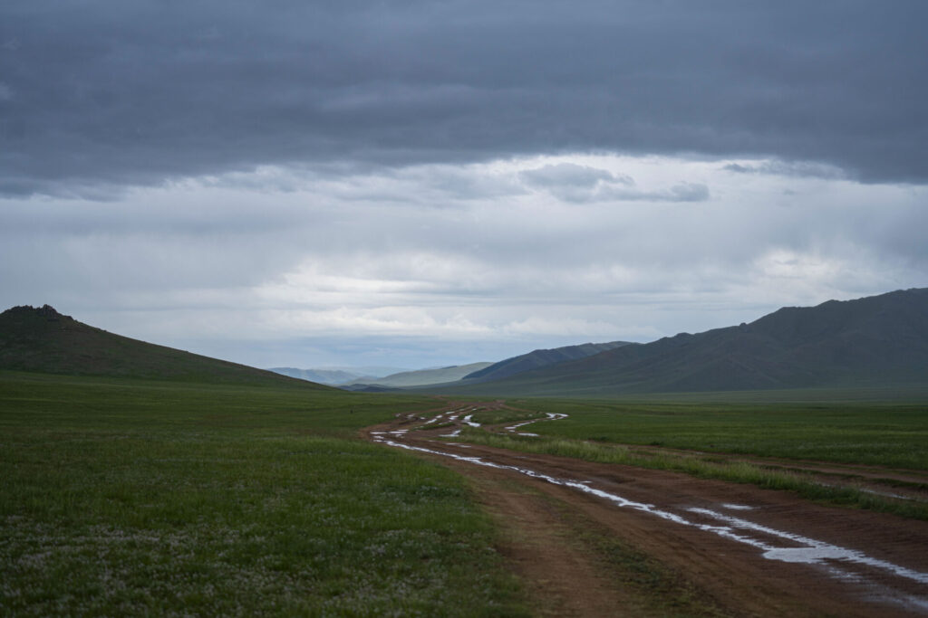 WEB_S__Gobi Ibex_Mongolia21_WildStrongholds_927