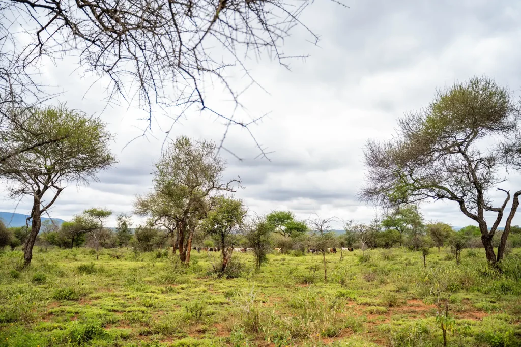 5-11-21_TANZ_WS_2021_-55