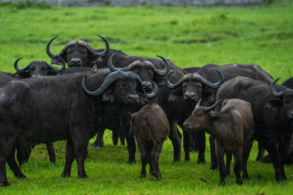 5-5-21_TANZ_WS_2021_-12